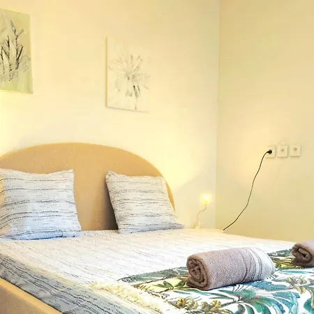 Spacious 3 Close To Tram And Amenities ニース